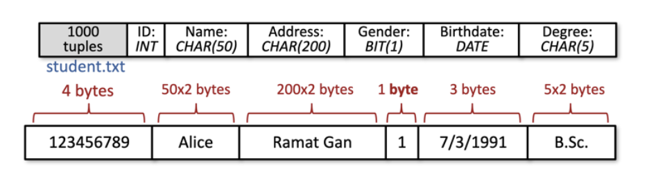 Pasted image 20230217212127.png|350